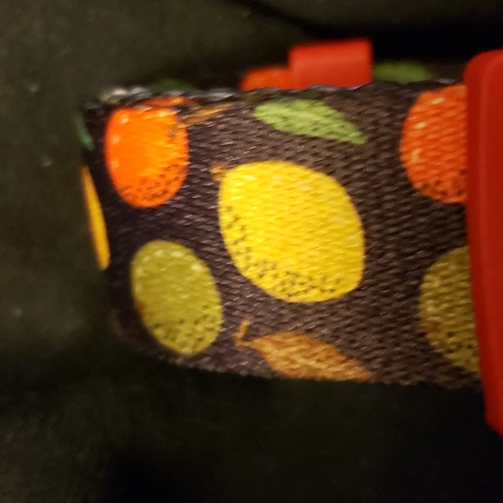 Bleie Black with Multicolored Pear Print Dog Collar Size L